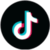 TikTok Logo